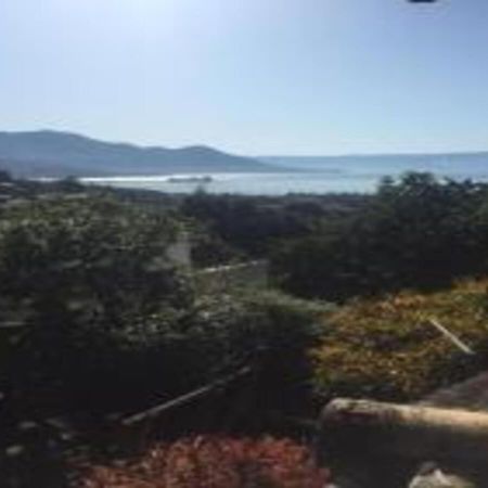 Bela Ilha Guest House イリャベラ エクステリア 写真